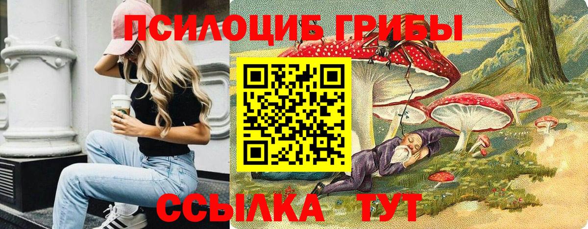Псилоцибиновые грибы MAGIC MUSHROOMS  Вход с VPN  Ессентуки 